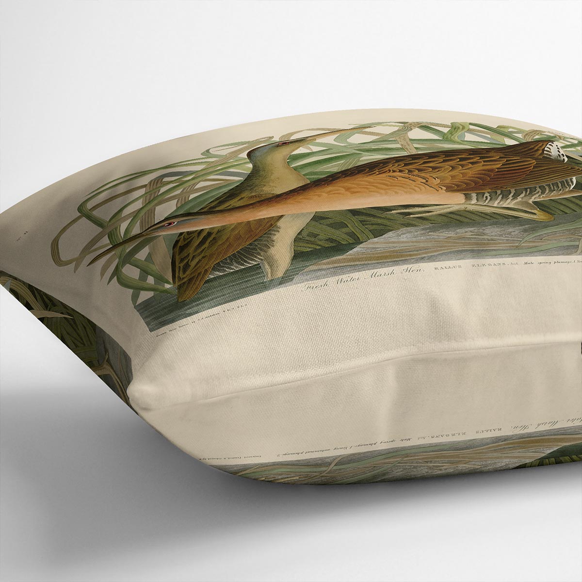 Fresh Water Marsh Hen by Audubon Cushion