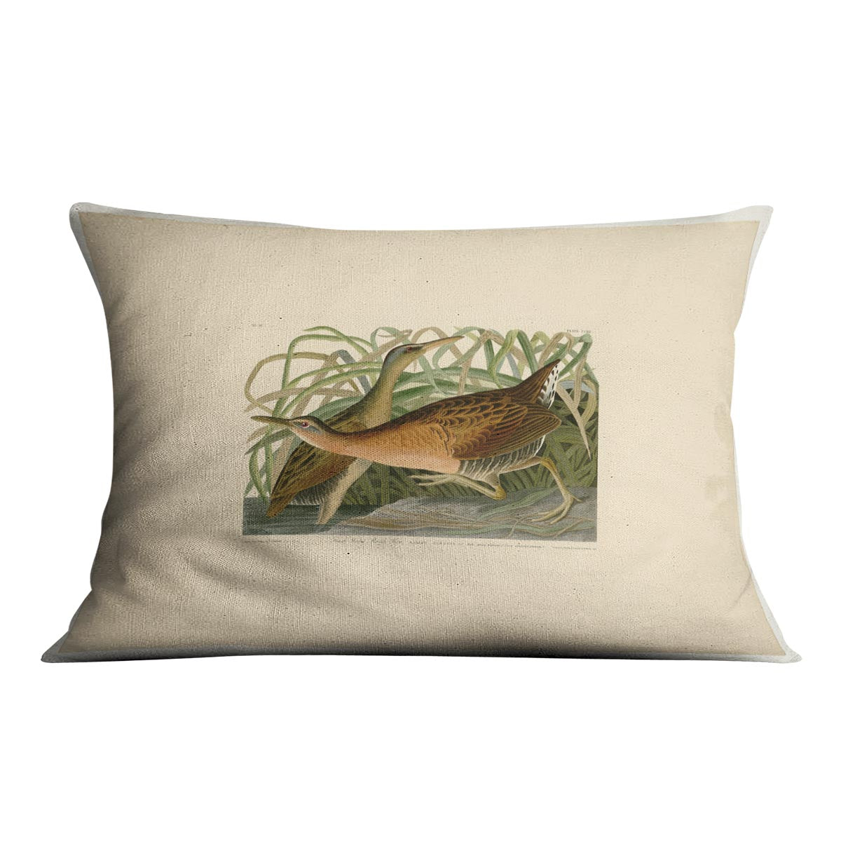 Fresh Water Marsh Hen by Audubon Cushion