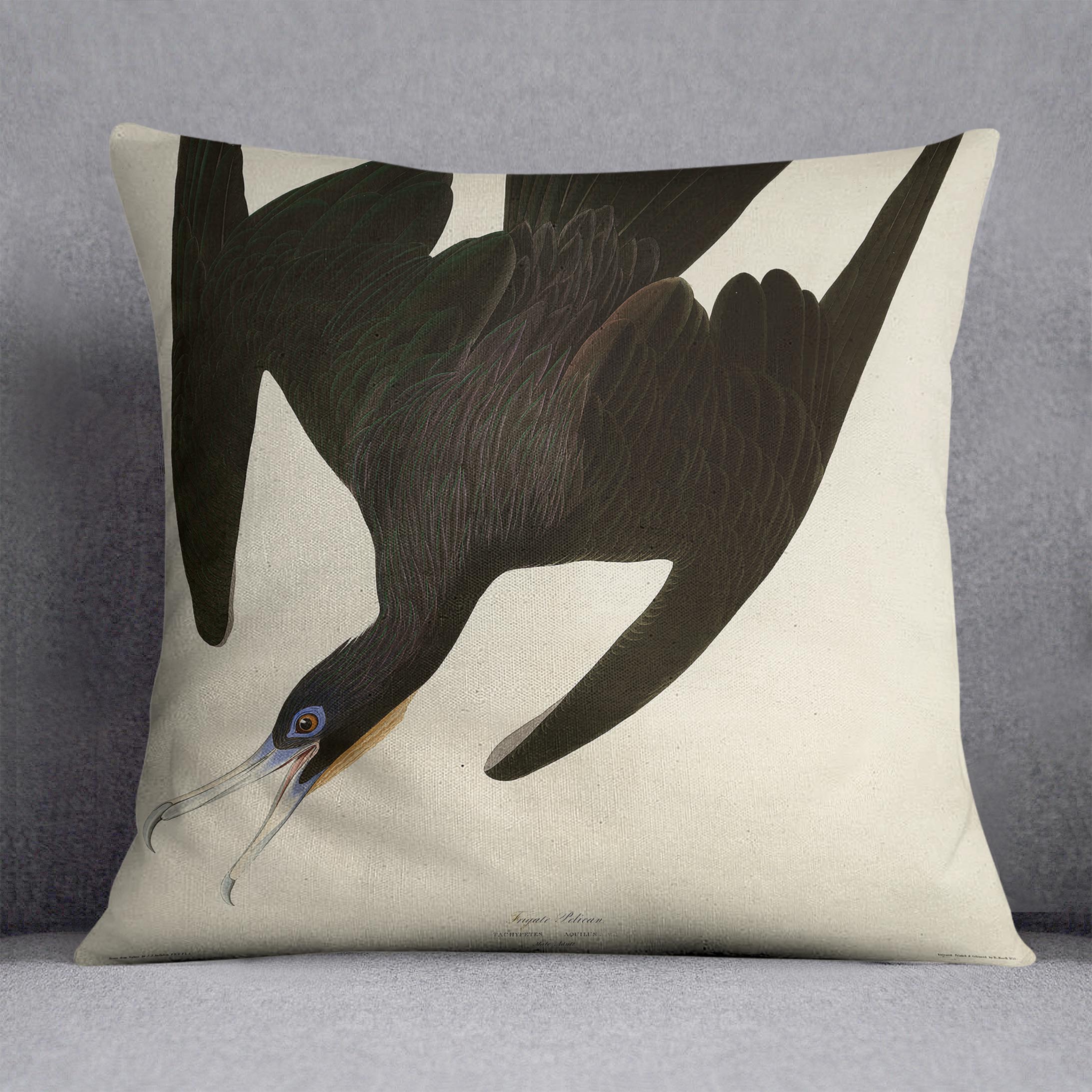 Frigate Pelican by Audubon Cushion