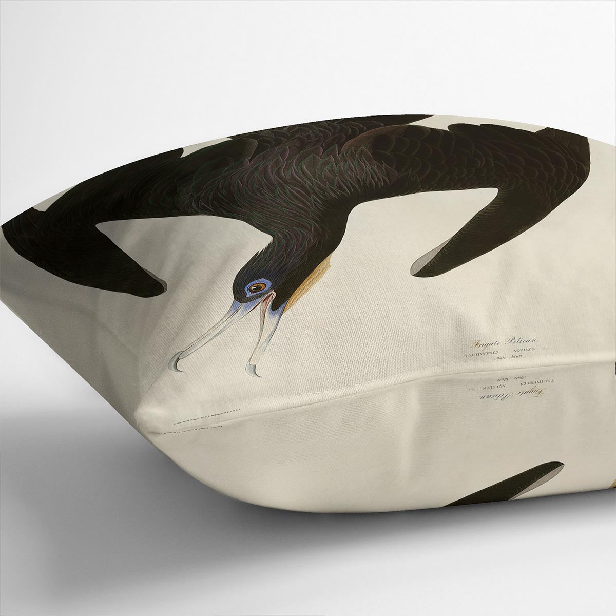 Frigate Pelican by Audubon Cushion