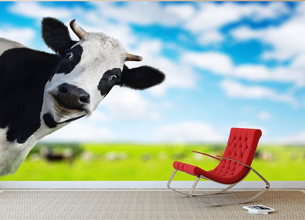 humorous wallpaper for walls