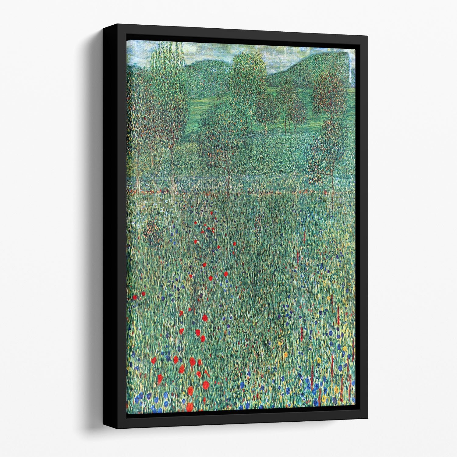 Garden landscape by Klimt Floating Framed Canvas