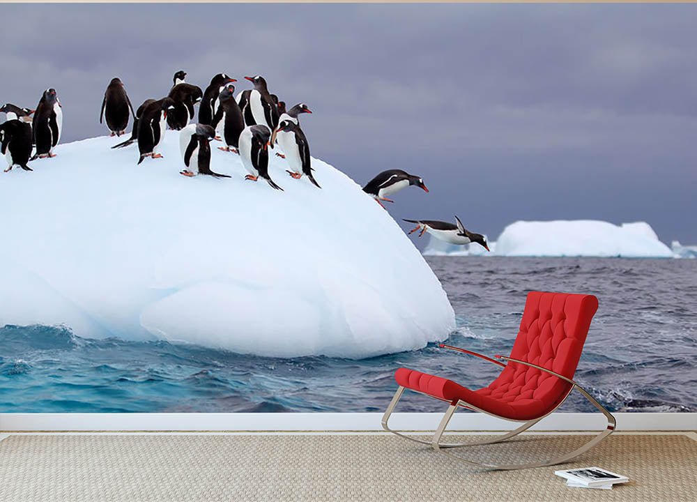 Gentoo penguin jumping into water Wall Mural Wallpaper - Canvas Art Rocks - 2