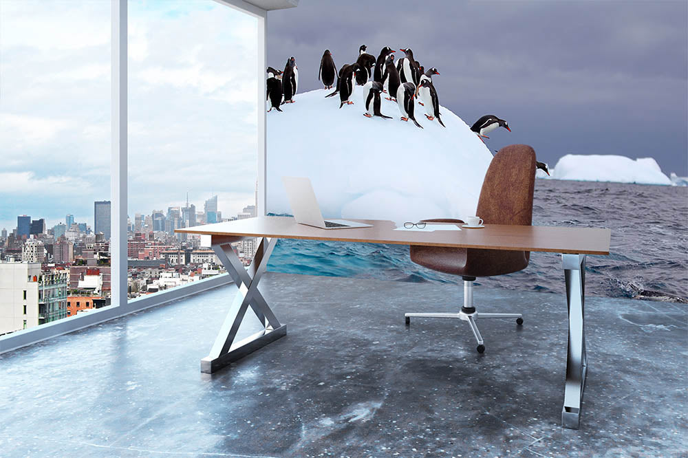 Gentoo penguin jumping into water Wall Mural Wallpaper - Canvas Art Rocks - 3