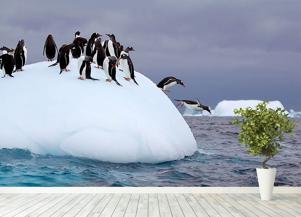 Gentoo penguin jumping into water Wall Mural Wallpaper - Canvas Art Rocks - 4