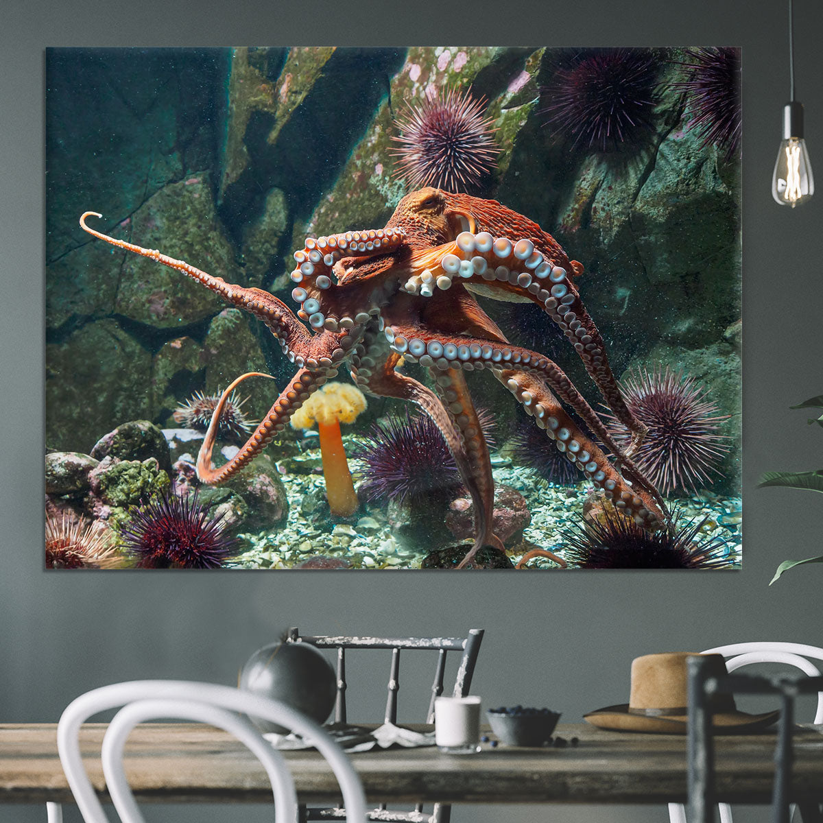 Giant Pacific octopus Canvas Print or Poster - Canvas Art Rocks - 3