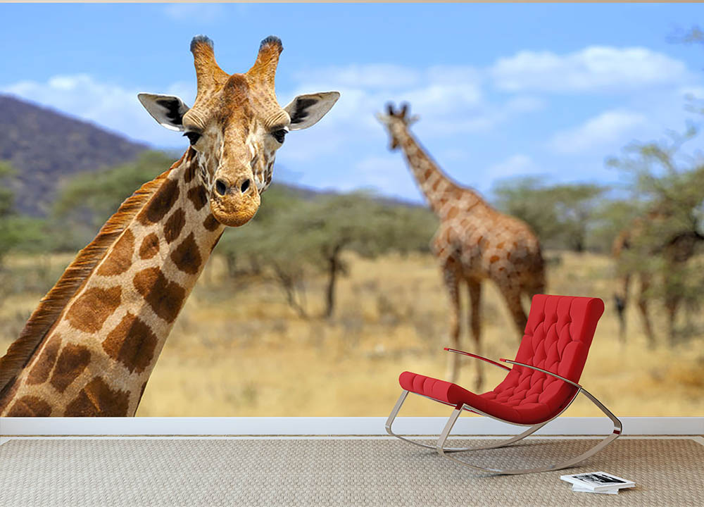 Giraffe in national park Kenya Wall Mural Wallpaper - Canvas Art Rocks - 2