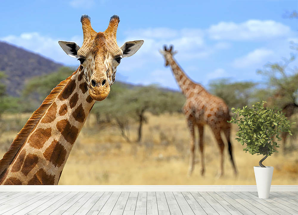 Giraffe in national park Kenya Wall Mural Wallpaper - Canvas Art Rocks - 4