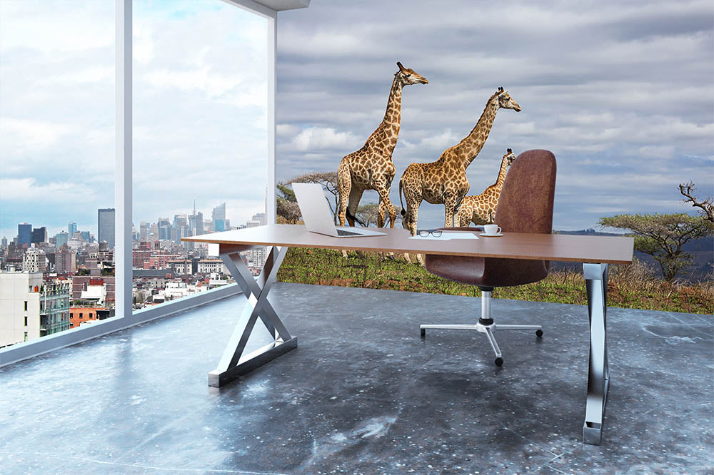 Giraffes in south africa game reserve Wall Mural Wallpaper - Canvas Art Rocks - 3