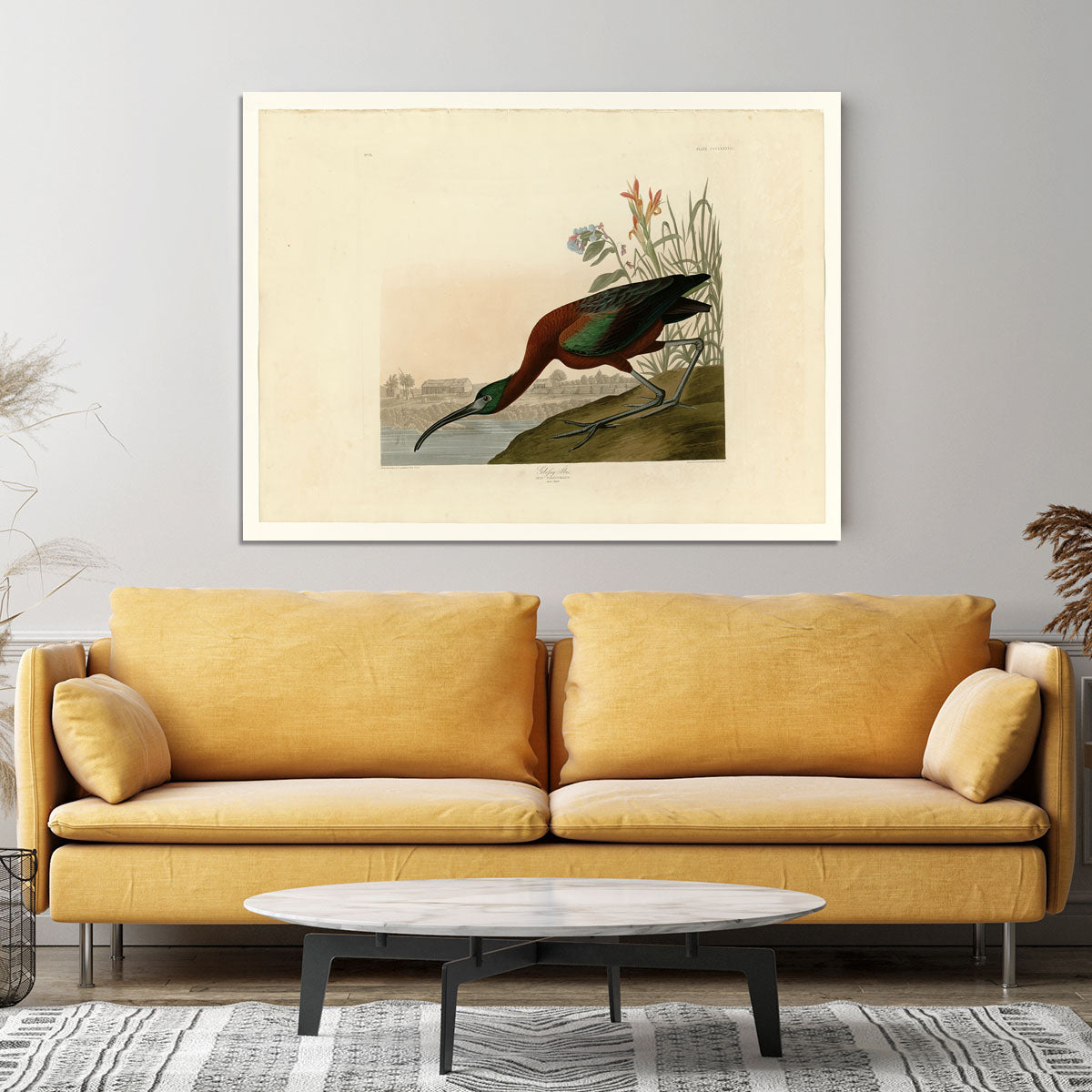 Glossy Ibis by Audubon Canvas Print or Poster - Canvas Art Rocks - 4