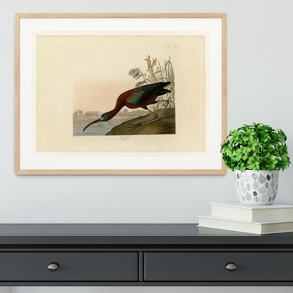 Glossy Ibis by Audubon Framed Print - Canvas Art Rocks - 3