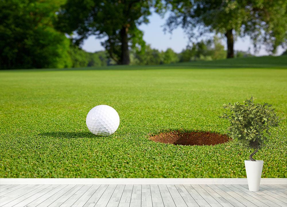 Golf ball close to the hole Wall Mural Wallpaper - Canvas Art Rocks - 4