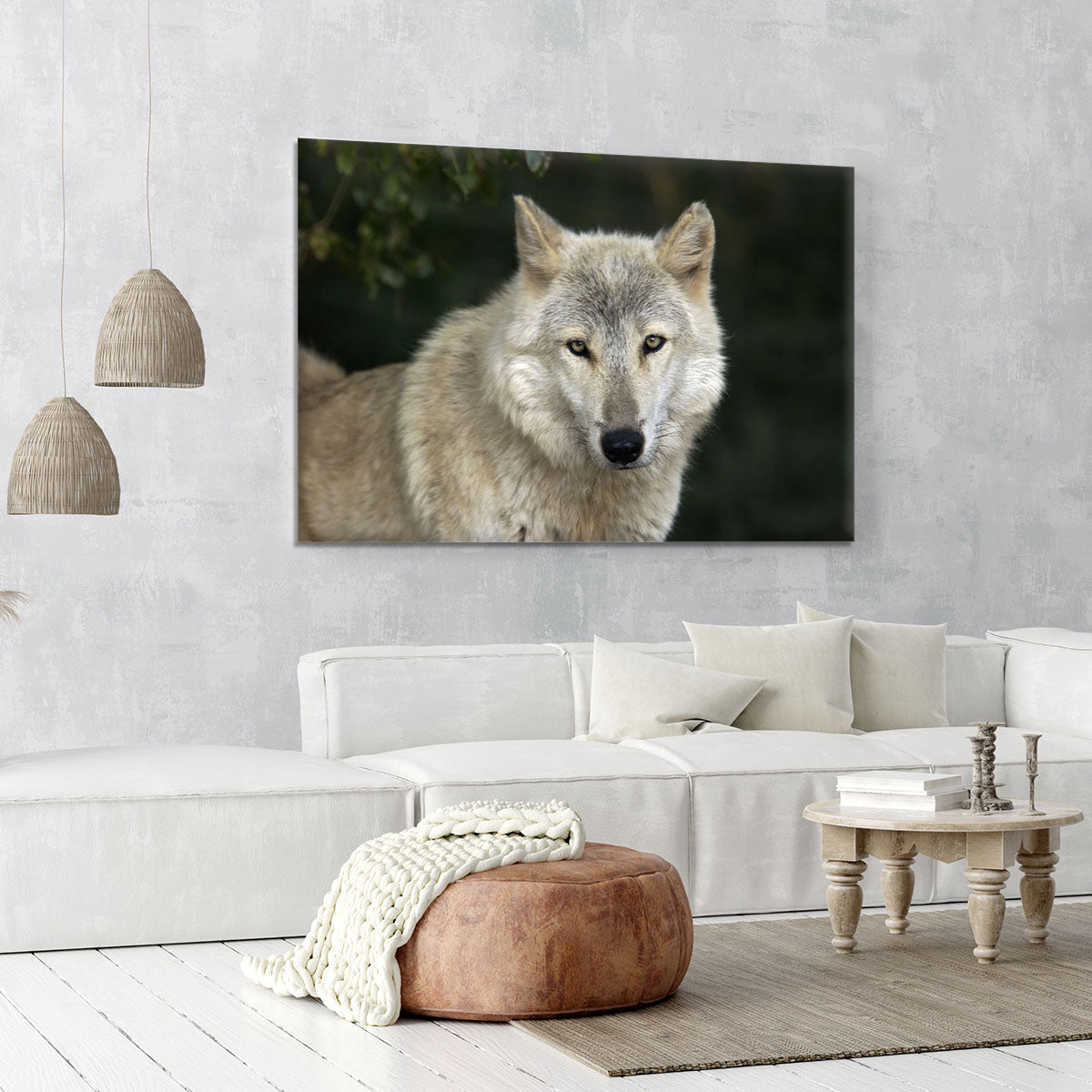 Gray Wolf Portrait in Natural Habitat Canvas Print or Poster - Canvas Art Rocks - 6