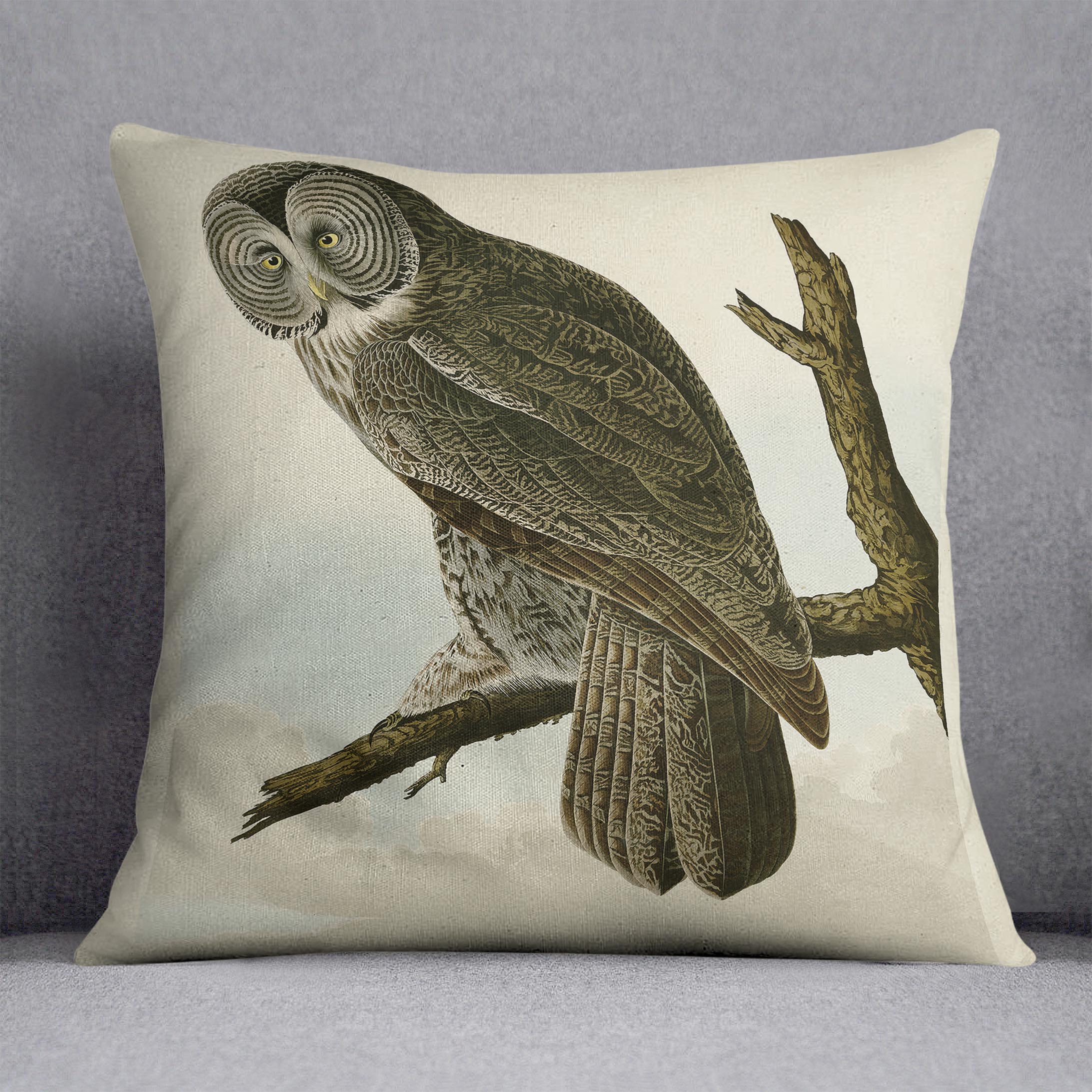 Great Cinereous Owl by Audubon Cushion