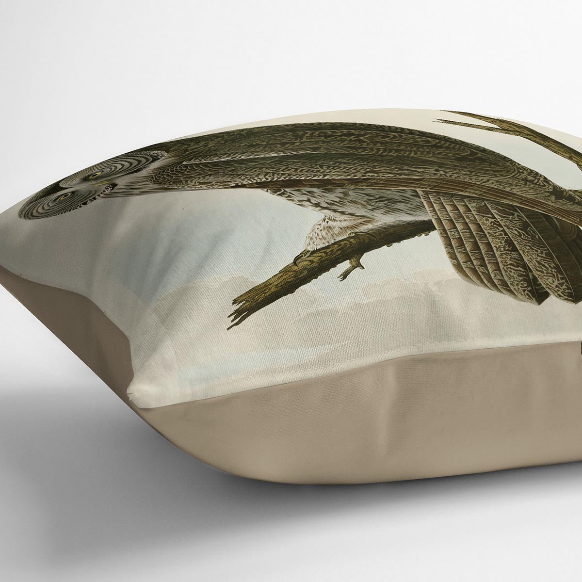 Great Cinereous Owl by Audubon Cushion