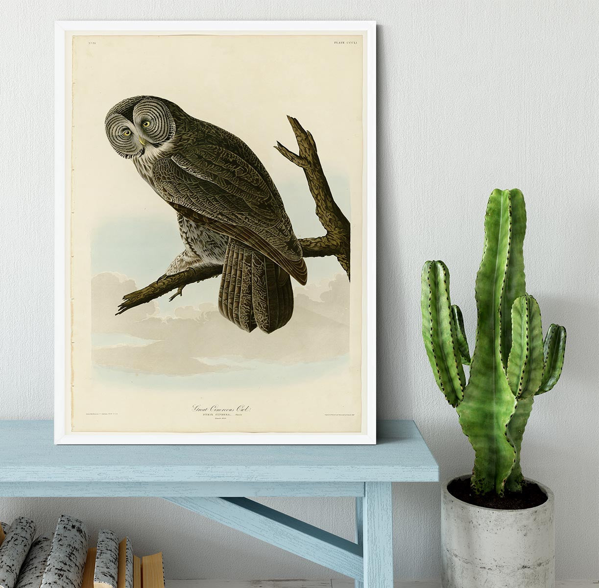 Great Cinereous Owl by Audubon Framed Print - Canvas Art Rocks -6