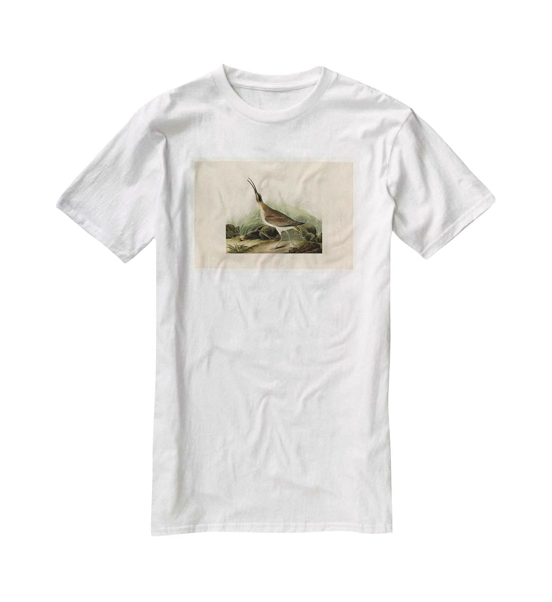 Great Esquimaux Curlew by Audubon T-Shirt - Canvas Art Rocks - 5
