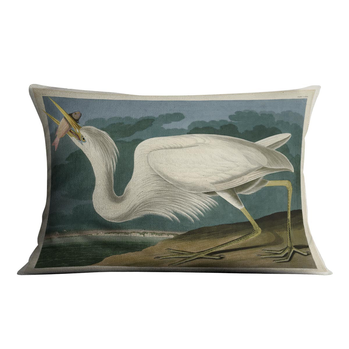 Great White Heron by Audubon Cushion