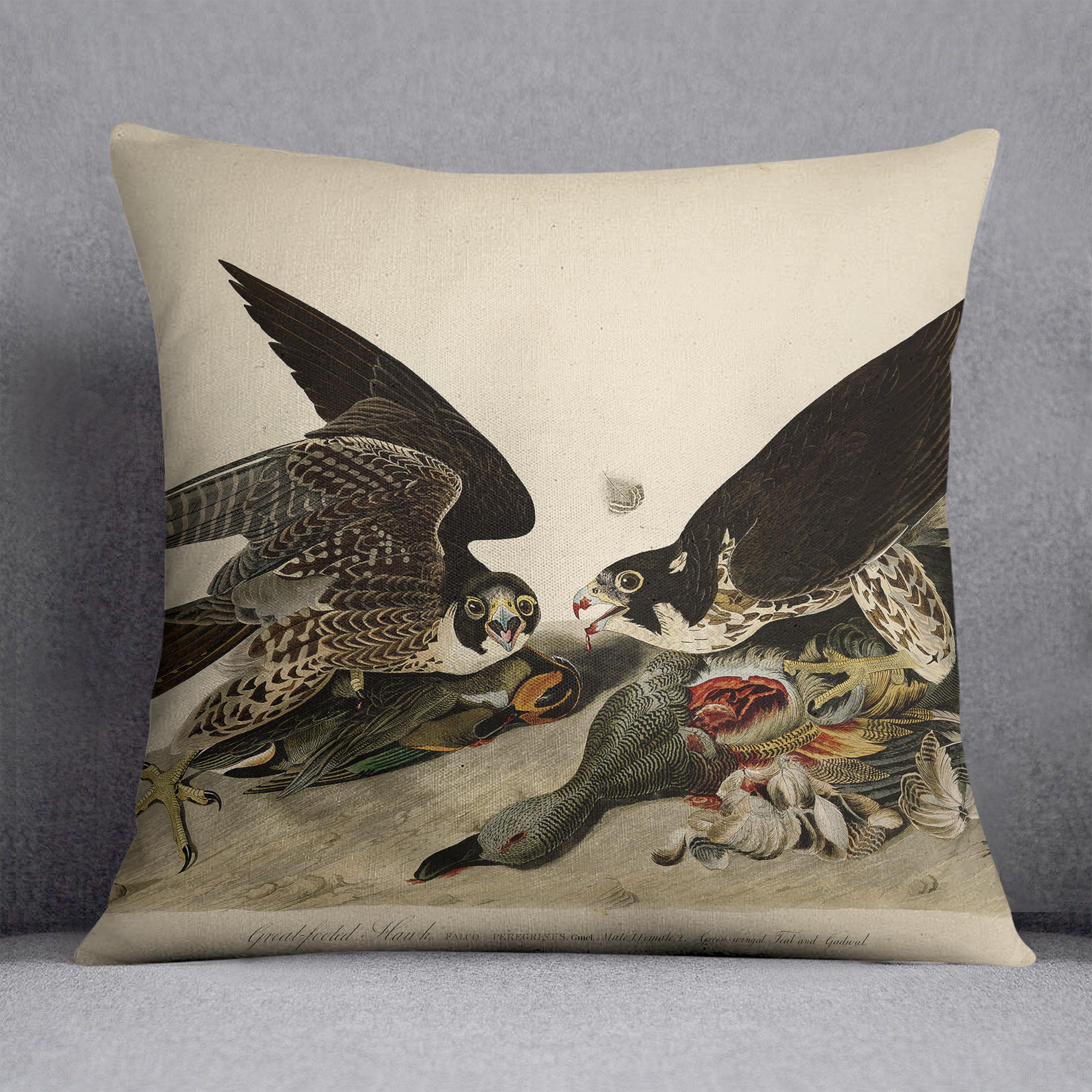Great footed Hawk by Audubon Cushion