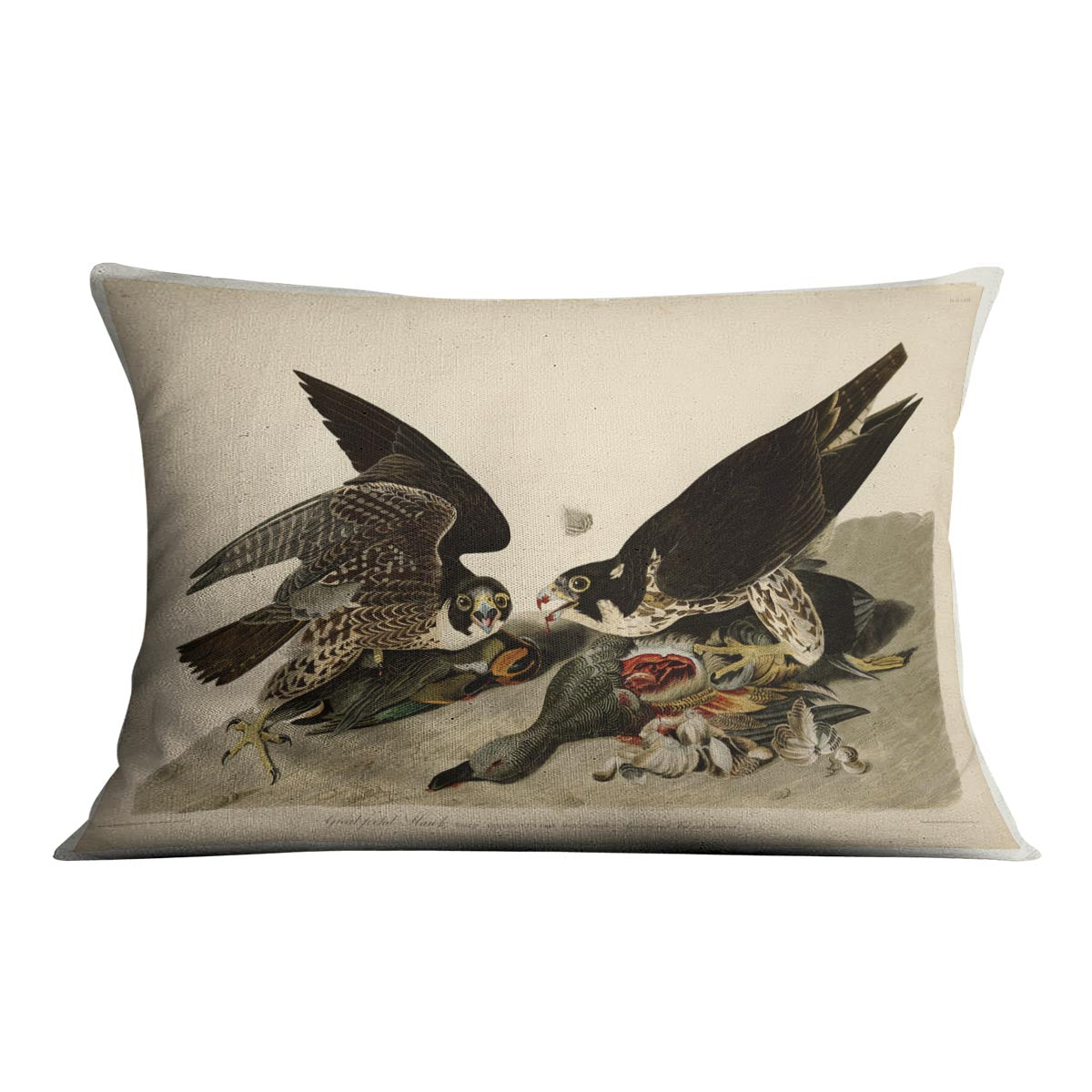 Great footed Hawk by Audubon Cushion