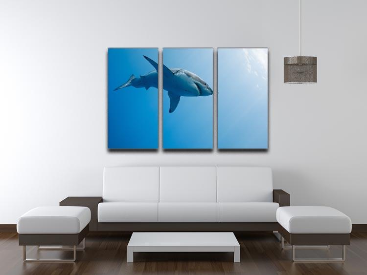 Great white shark Guadalupe Island 3 Split Panel Canvas Print - Canvas Art Rocks - 3