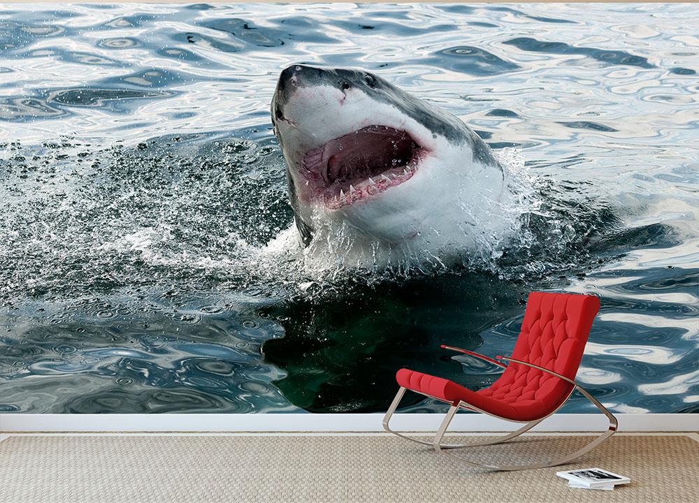 Great white shark Wall Mural Wallpaper - Canvas Art Rocks - 3