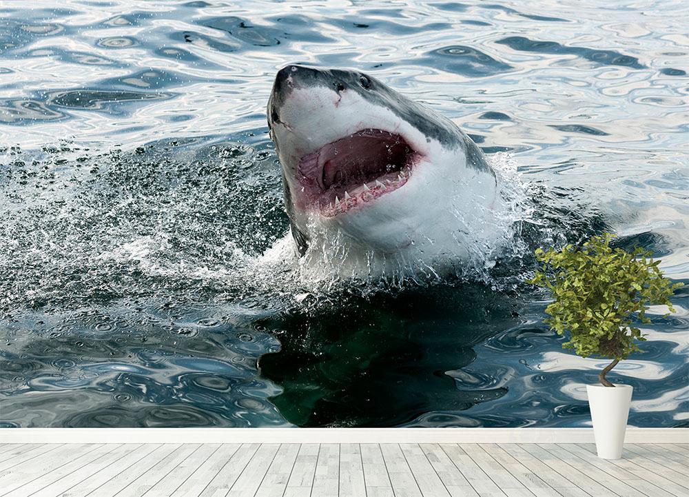 Great white shark Wall Mural Wallpaper - Canvas Art Rocks - 4