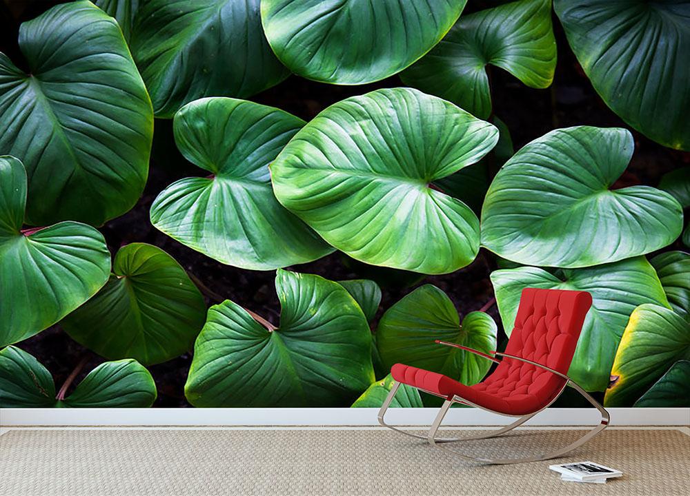 Green plant Wall Mural Wallpaper - Canvas Art Rocks - 2