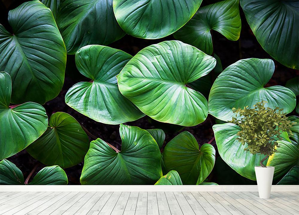 Green plant Wall Mural Wallpaper - Canvas Art Rocks - 4