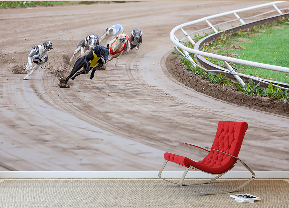 Greyhound dogs racing Wall Mural Wallpaper - Canvas Art Rocks - 2