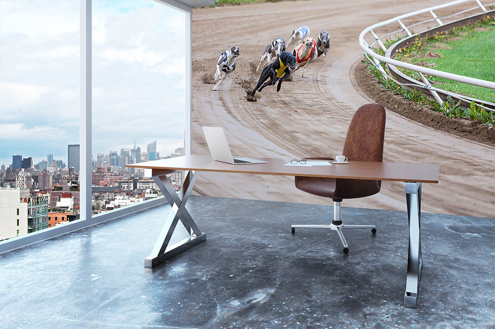 Greyhound dogs racing Wall Mural Wallpaper - Canvas Art Rocks - 3