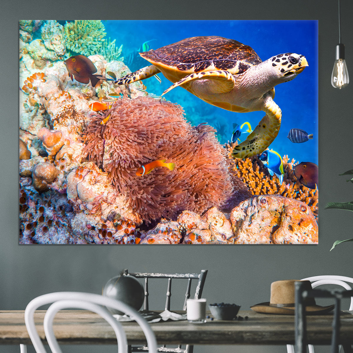 Hawksbill Turtle Canvas Print or Poster - Canvas Art Rocks - 3