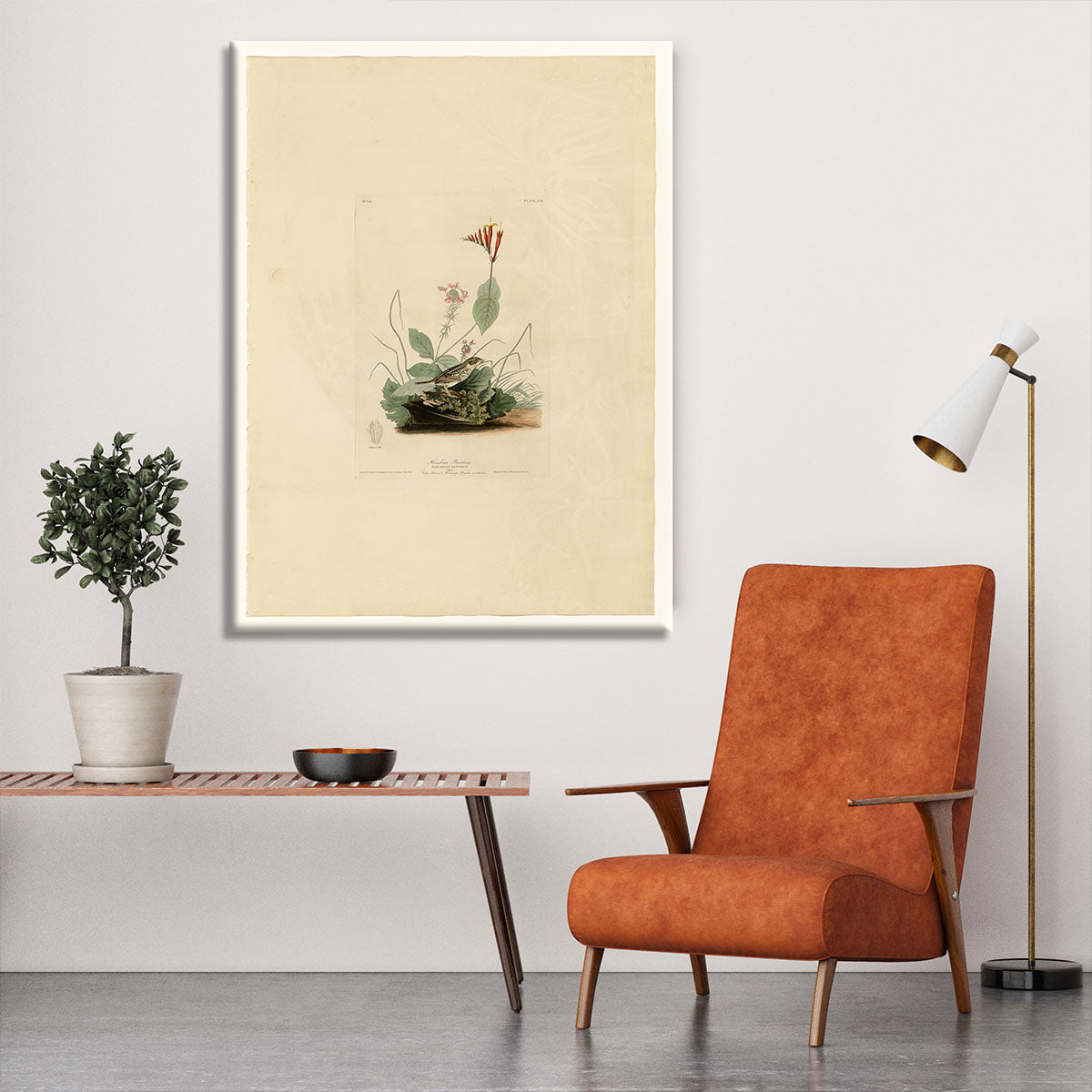 Henslows Bunting by Audubon Canvas Print or Poster - Canvas Art Rocks - 6