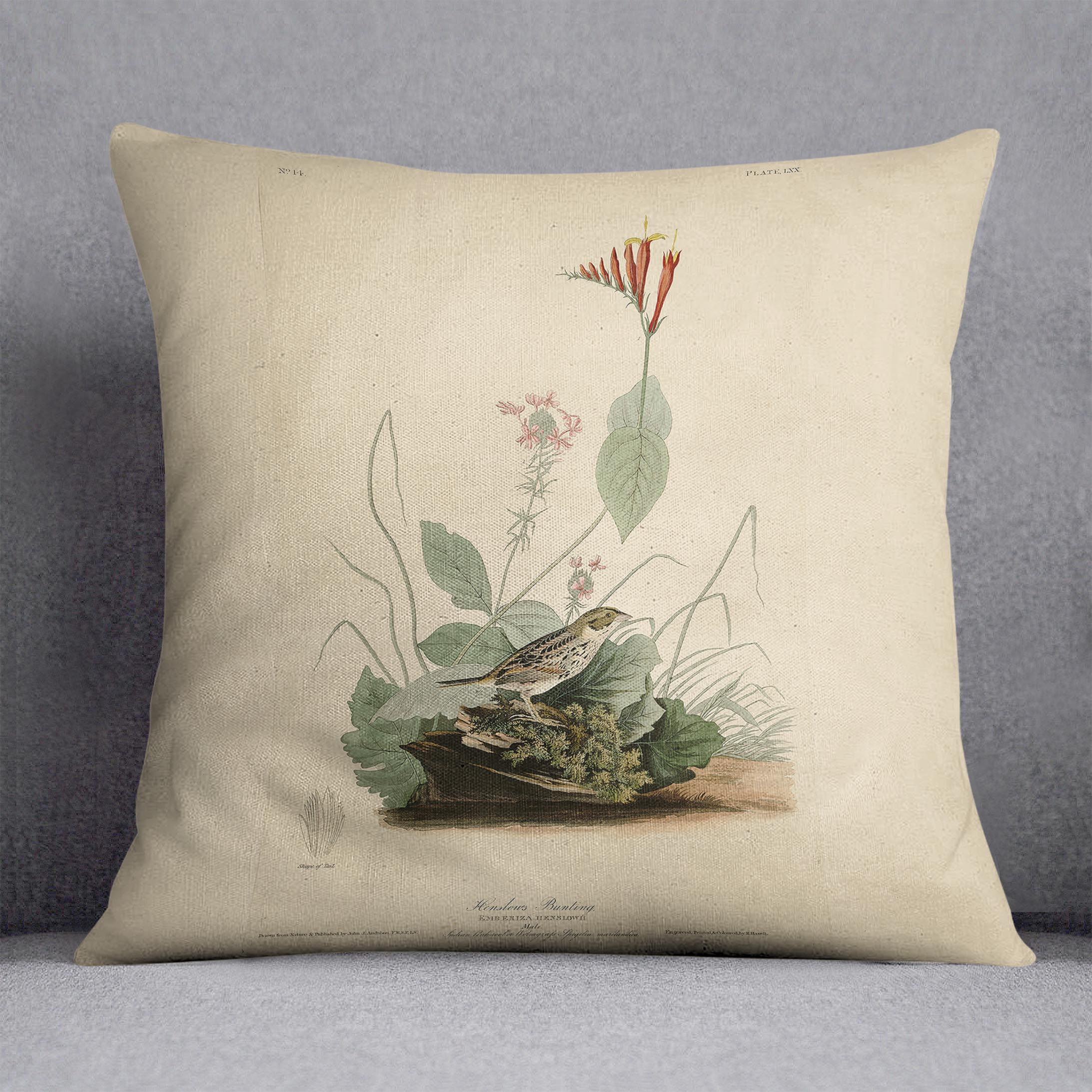Henslows Bunting by Audubon Cushion