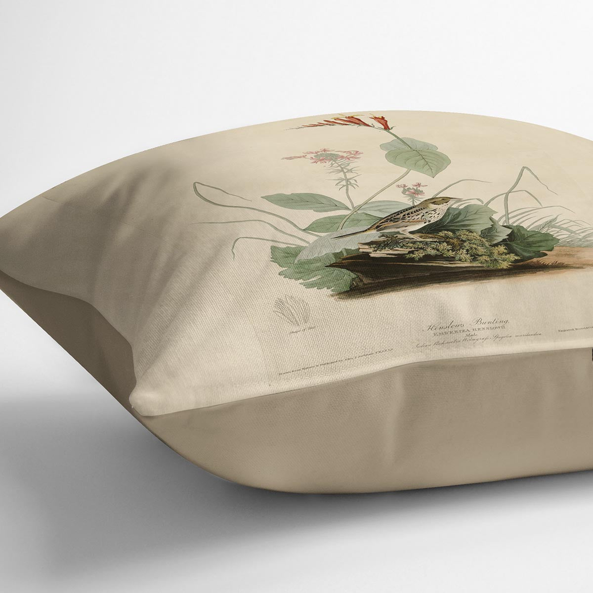 Henslows Bunting by Audubon Cushion