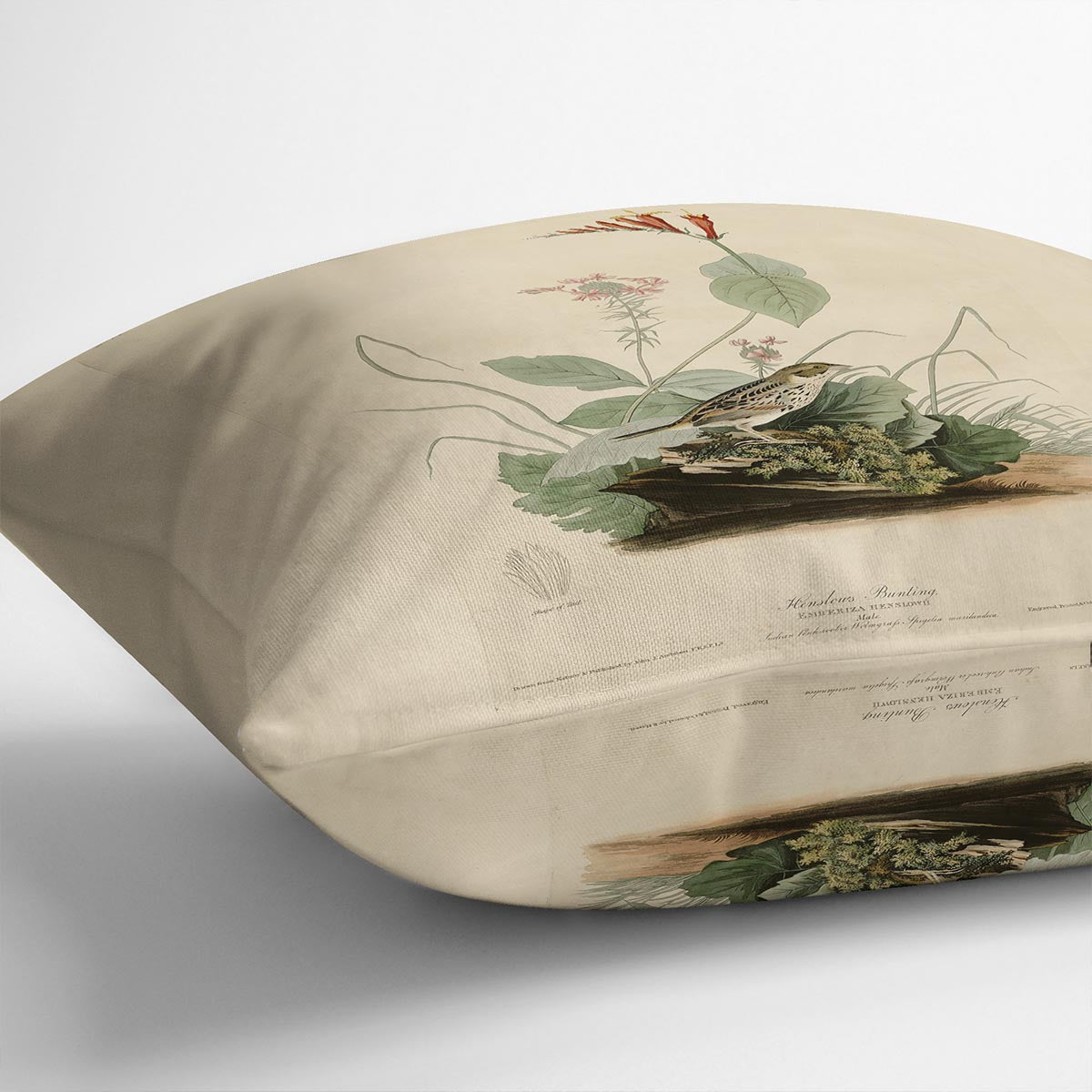 Henslows Bunting by Audubon Cushion