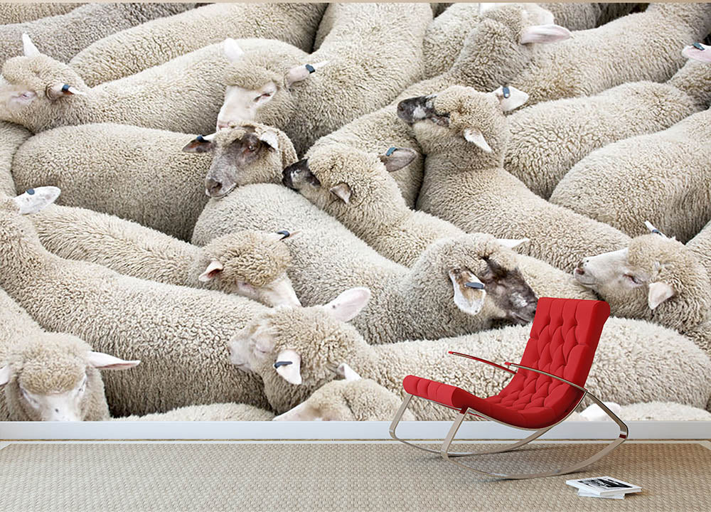 Herd of sheep on a truck Wall Mural Wallpaper - Canvas Art Rocks - 2