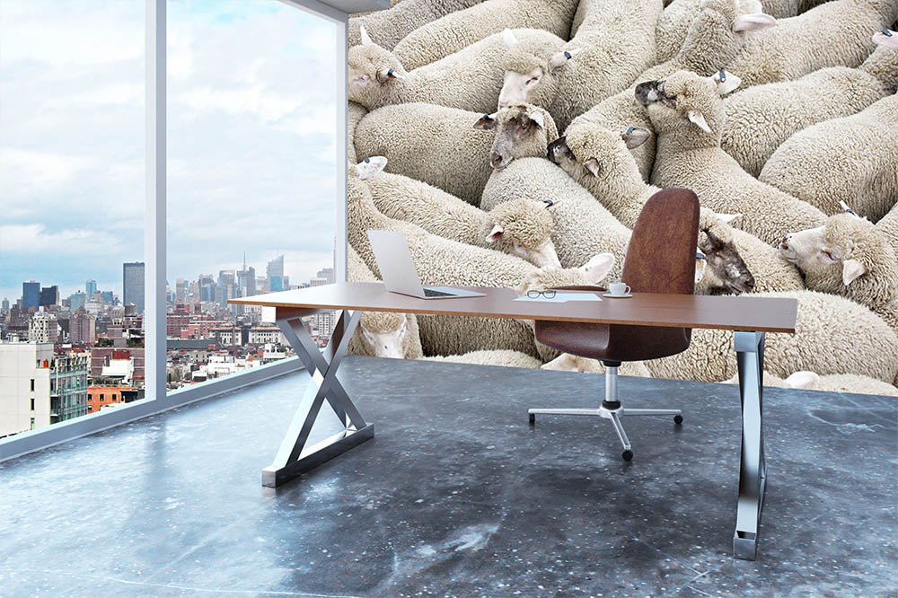 Herd of sheep on a truck Wall Mural Wallpaper - Canvas Art Rocks - 3