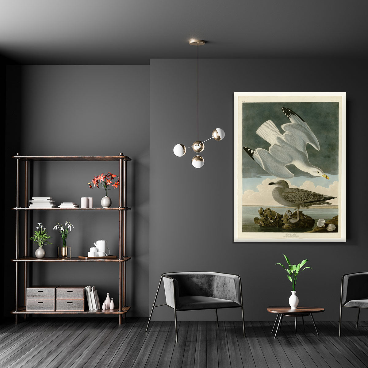 Herring Gull by Audubon Canvas Print or Poster - Canvas Art Rocks - 5
