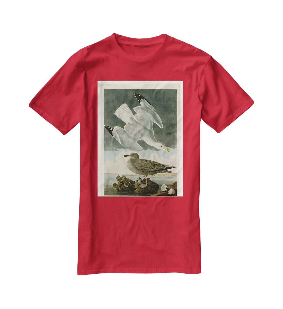 Herring Gull by Audubon T-Shirt - Canvas Art Rocks - 4