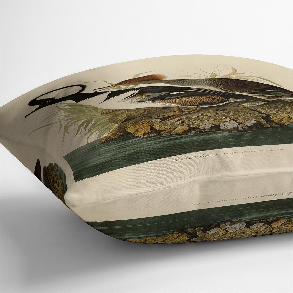 Hooded Merganser by Audubon Cushion