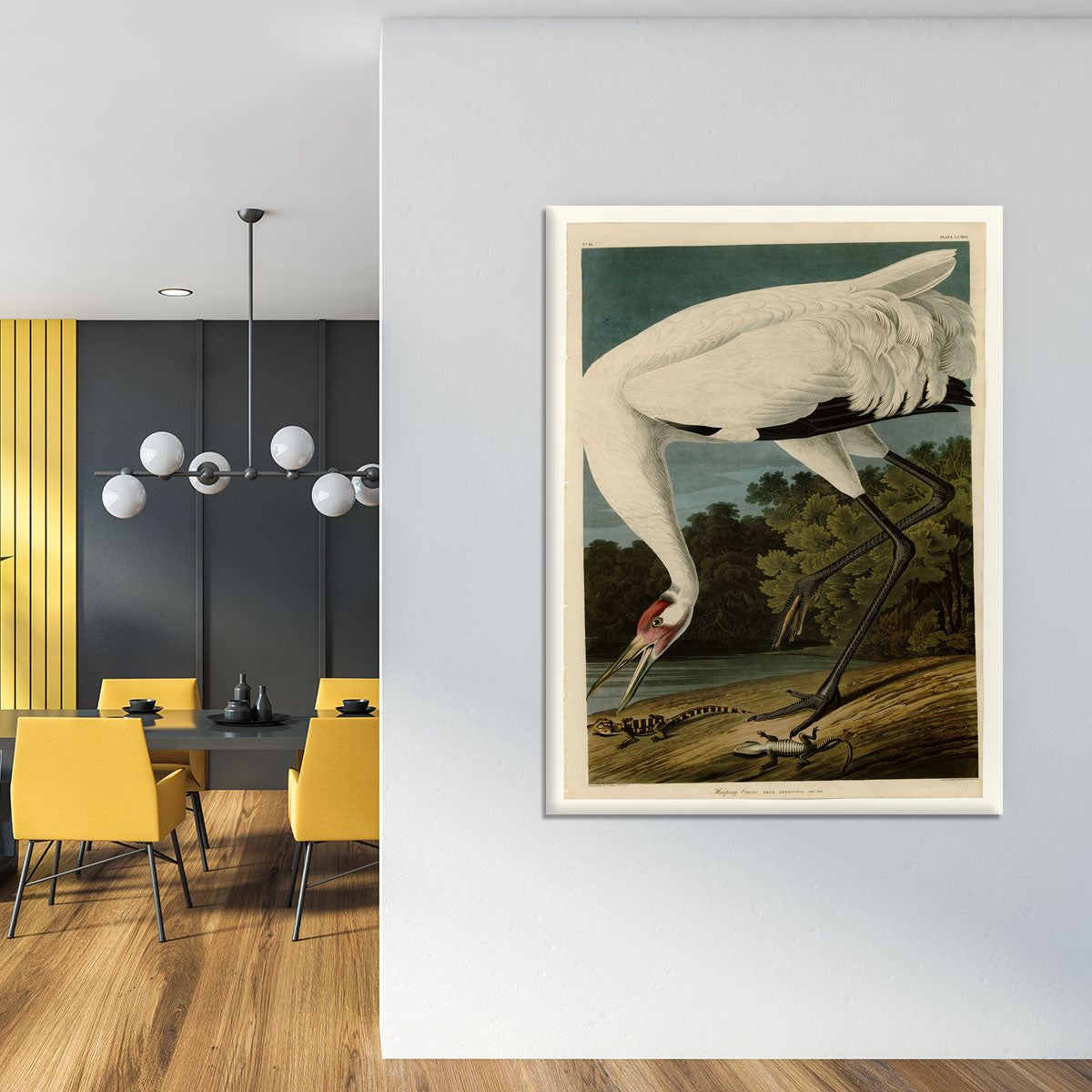 Hooping Crane by Audubon Canvas Print or Poster - Canvas Art Rocks - 4