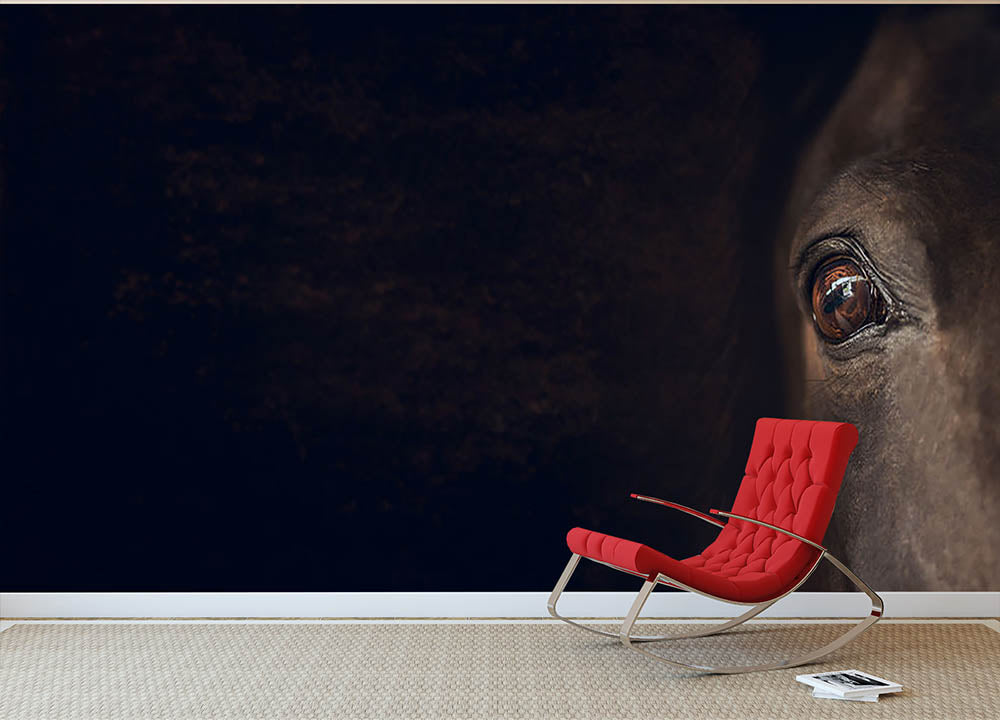 Horse eye Wall Mural Wallpaper - Canvas Art Rocks - 2