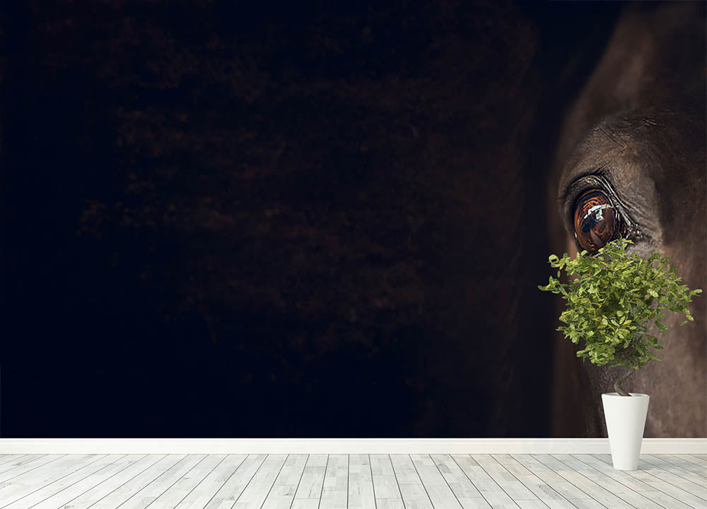 Horse eye Wall Mural Wallpaper - Canvas Art Rocks - 4