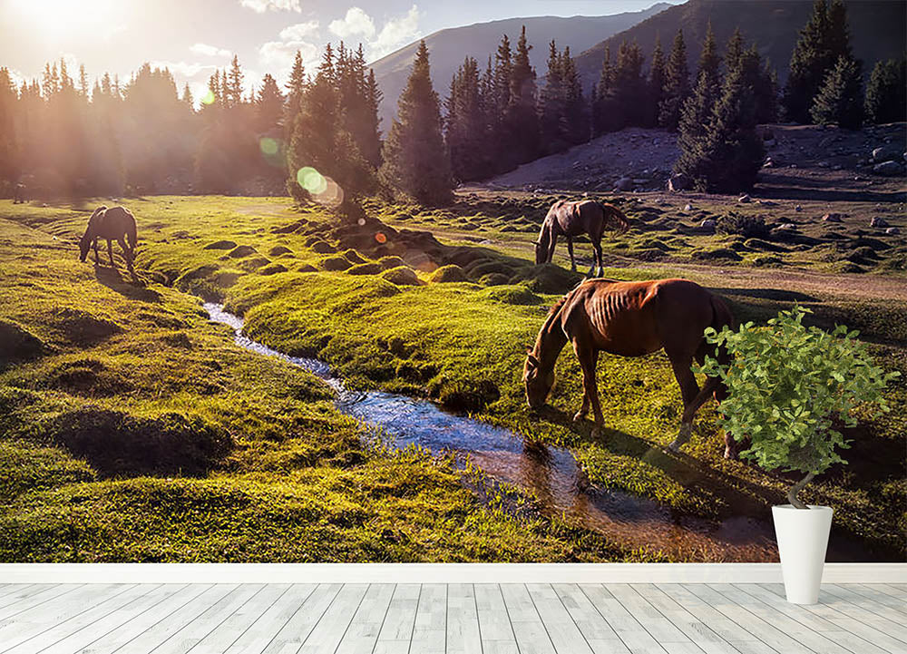 Horses in the Gregory gorge mountains Wall Mural Wallpaper - Canvas Art Rocks - 4