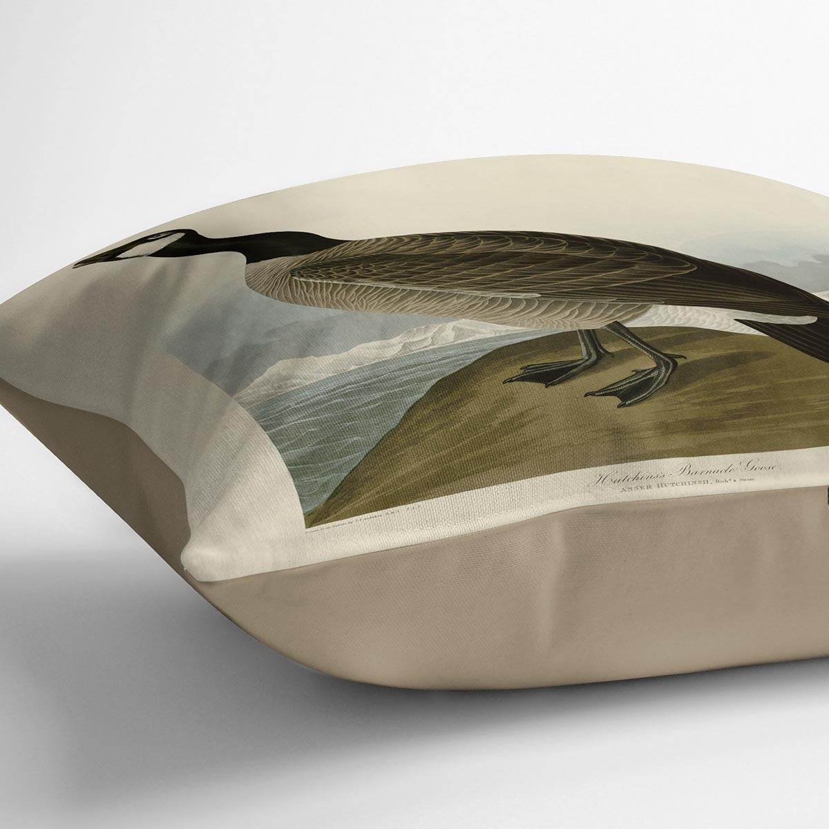 Hutchins Barnacle Goose by Audubon Cushion