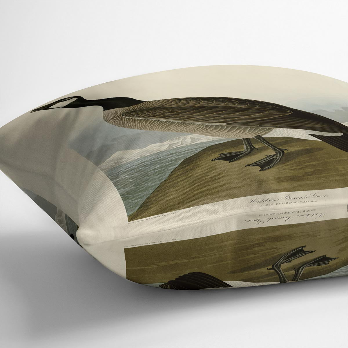 Hutchins Barnacle Goose by Audubon Cushion