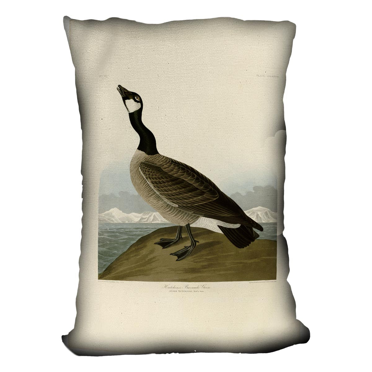 Hutchins Barnacle Goose by Audubon Cushion