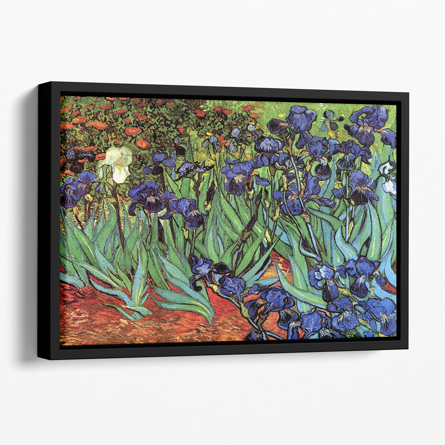 Irises 2 by Van Gogh Floating Framed Canvas