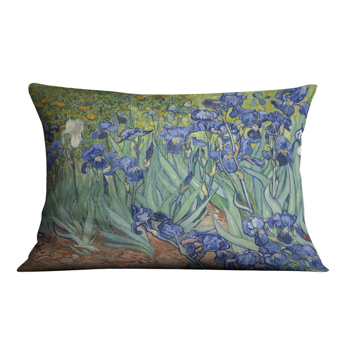 Irises by Van Gogh Cushion